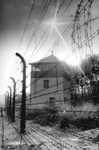 260px-Bundesarchiv_Bild_183-1983-0825-303,_Gedenkstätte_Buchenwald,_Wachturm,_Stacheldrahtzaun