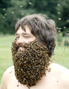 bee-beard