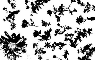 floral_silhouette_vector_pack_572116